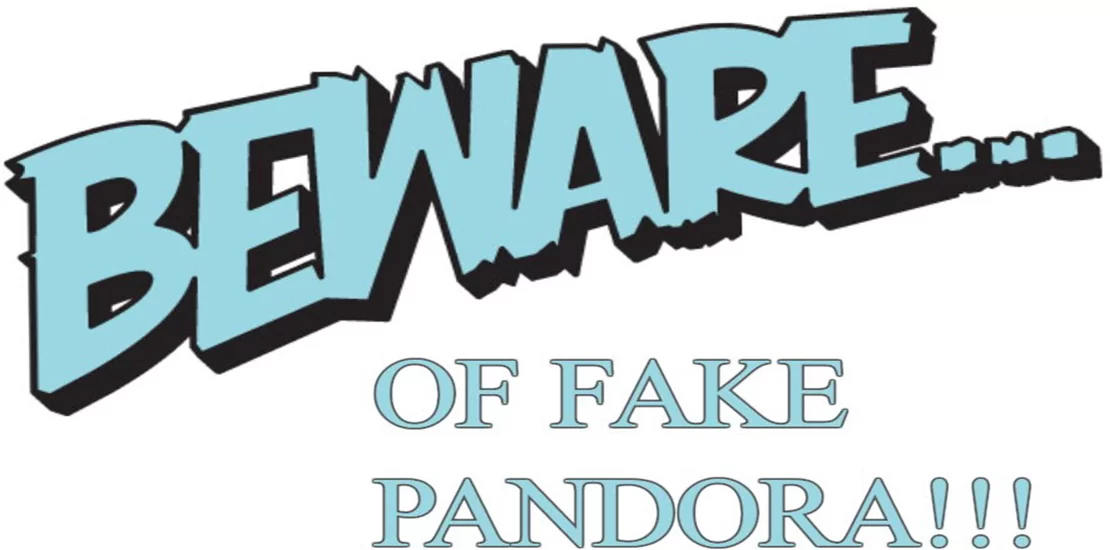 this is what happens when you have a little less knowledge about buying Pandora online